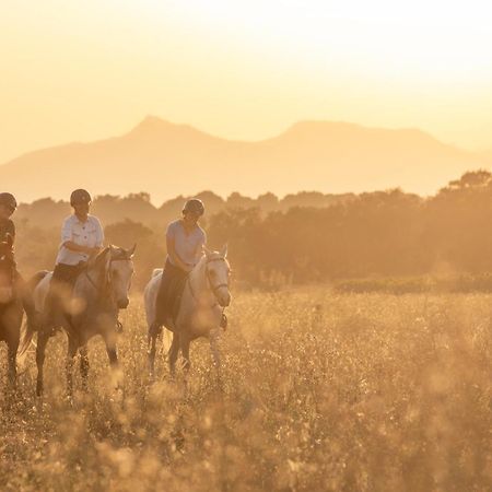 Cal Robusto, Apartament In Masia With Horses Siurana  Экстерьер фото