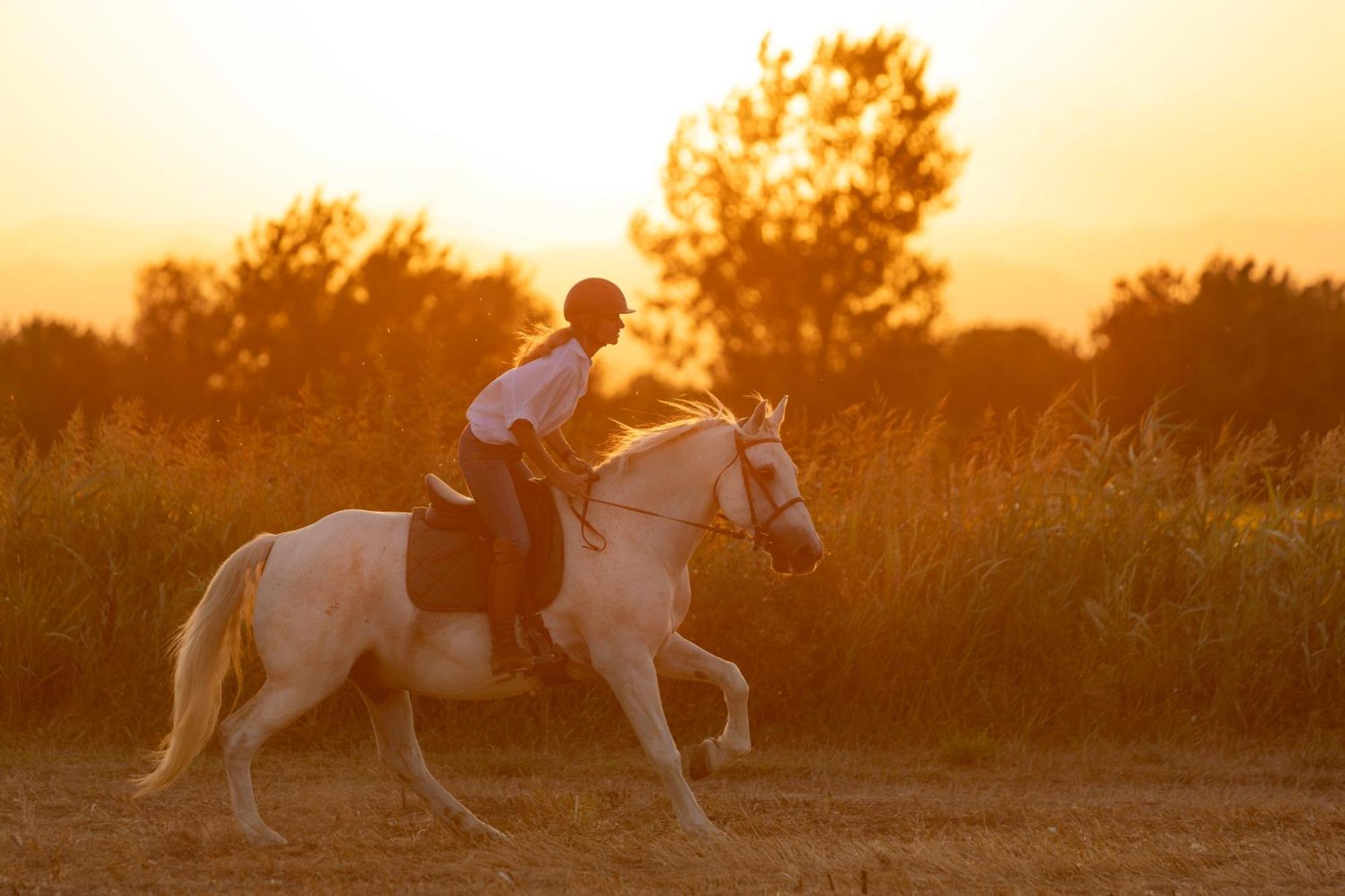 Cal Robusto, Apartament In Masia With Horses Siurana  Экстерьер фото