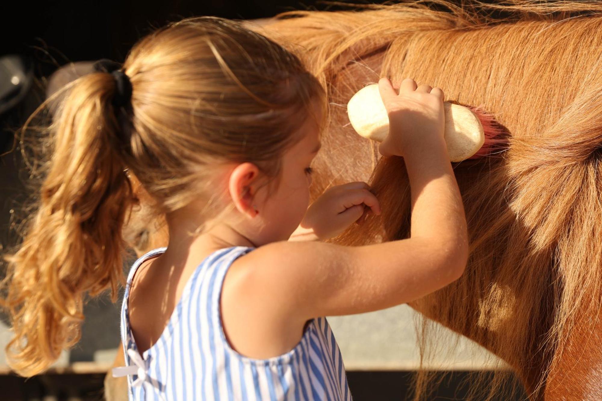 Cal Robusto, Apartament In Masia With Horses Siurana  Экстерьер фото