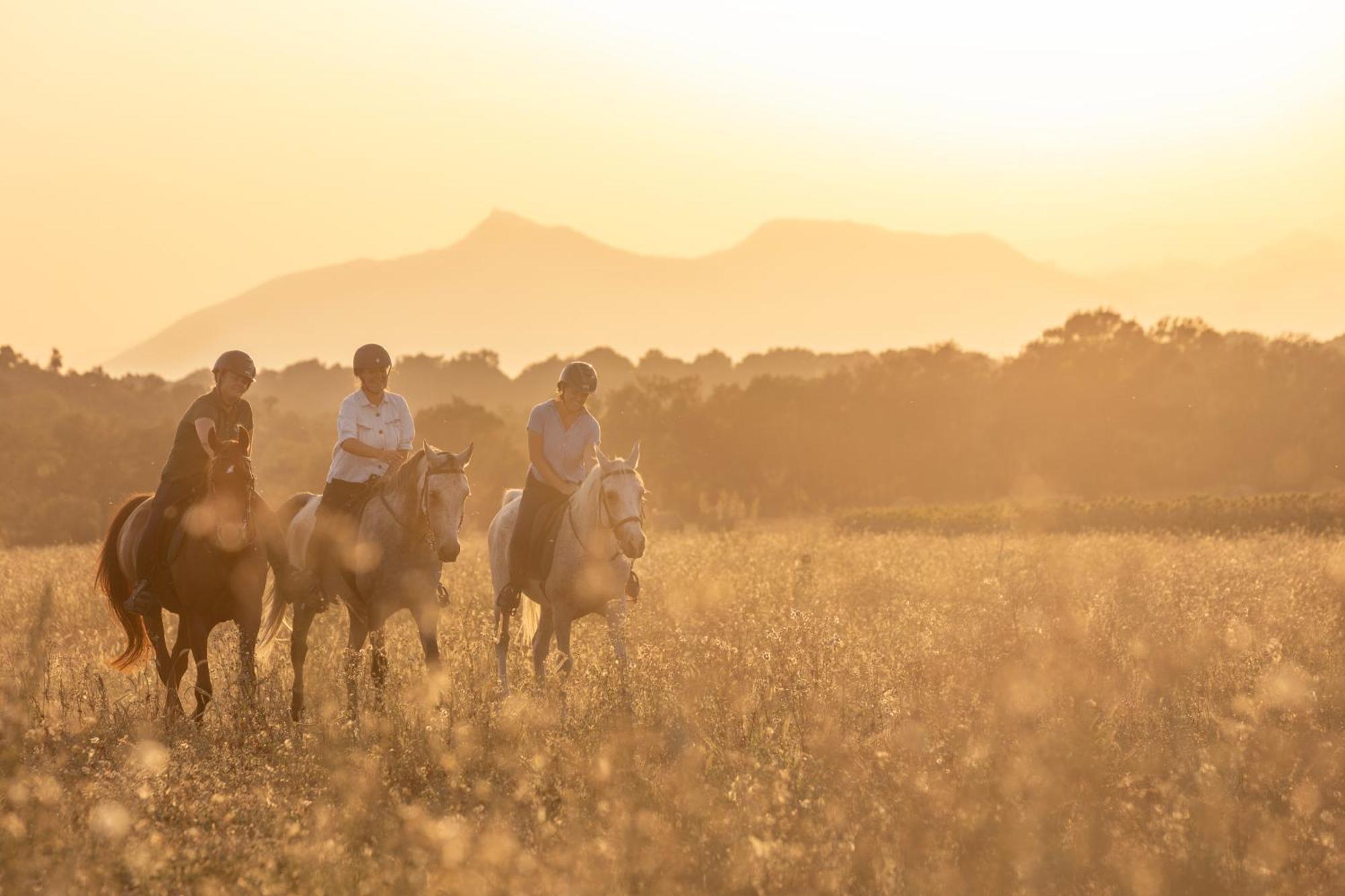 Cal Robusto, Apartament In Masia With Horses Siurana  Экстерьер фото