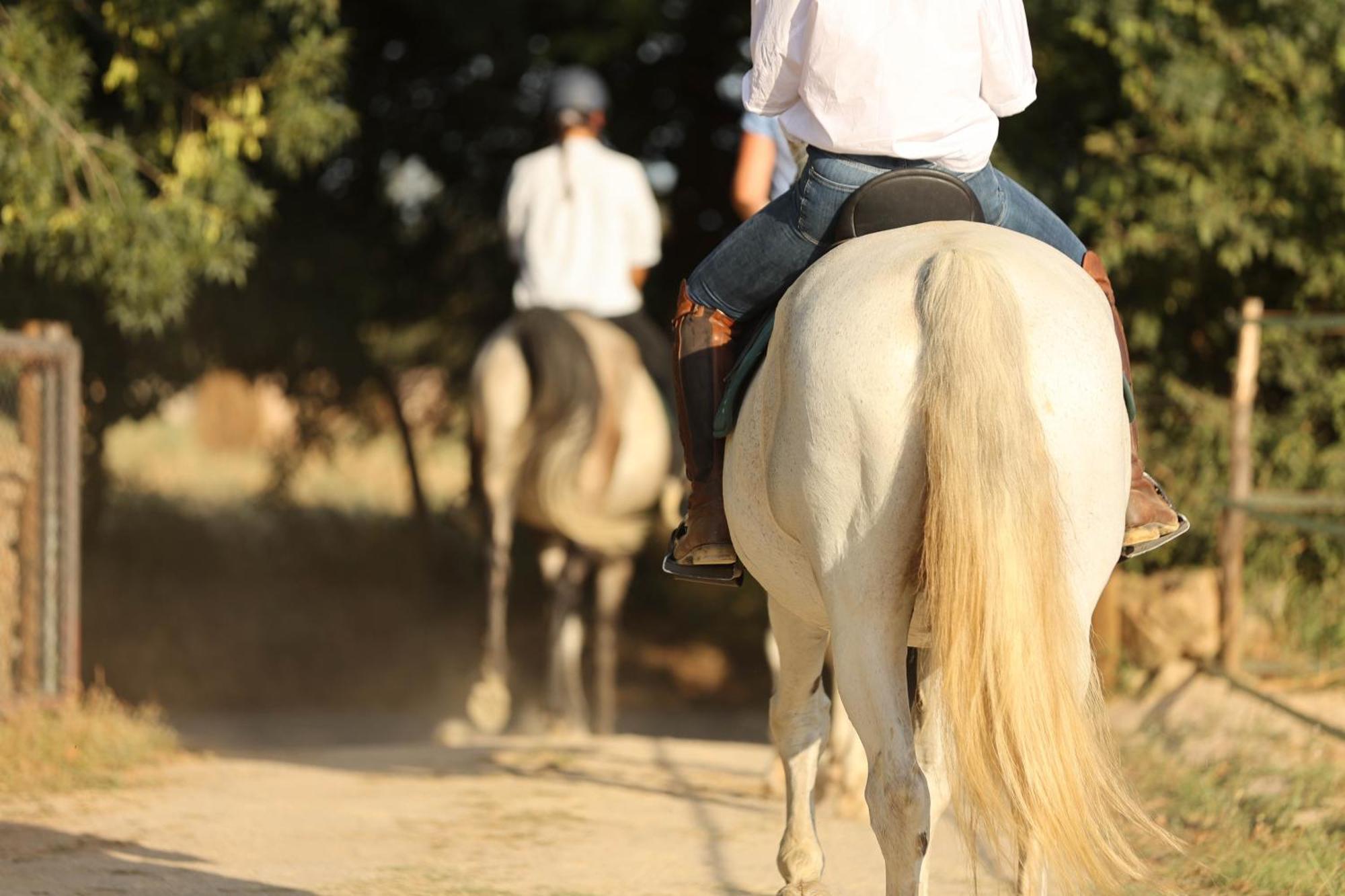 Cal Robusto, Apartament In Masia With Horses Siurana  Экстерьер фото