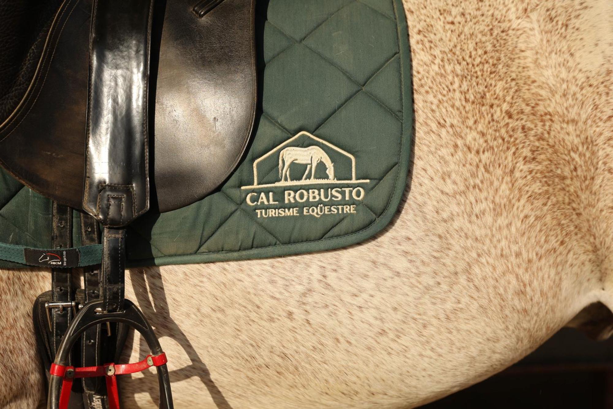 Cal Robusto, Apartament In Masia With Horses Siurana  Экстерьер фото