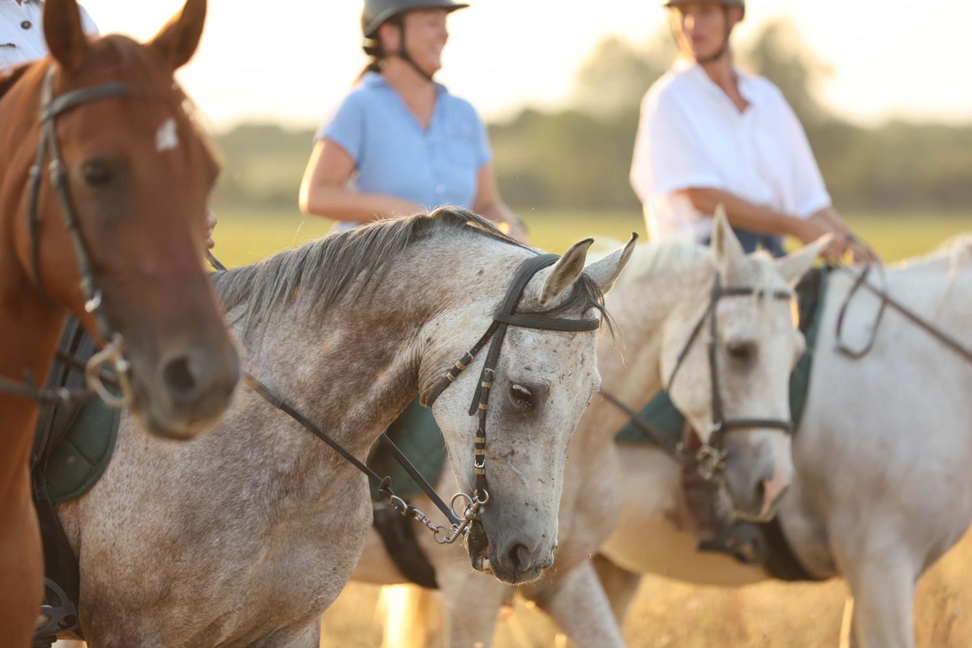 Cal Robusto, Apartament In Masia With Horses Siurana  Экстерьер фото