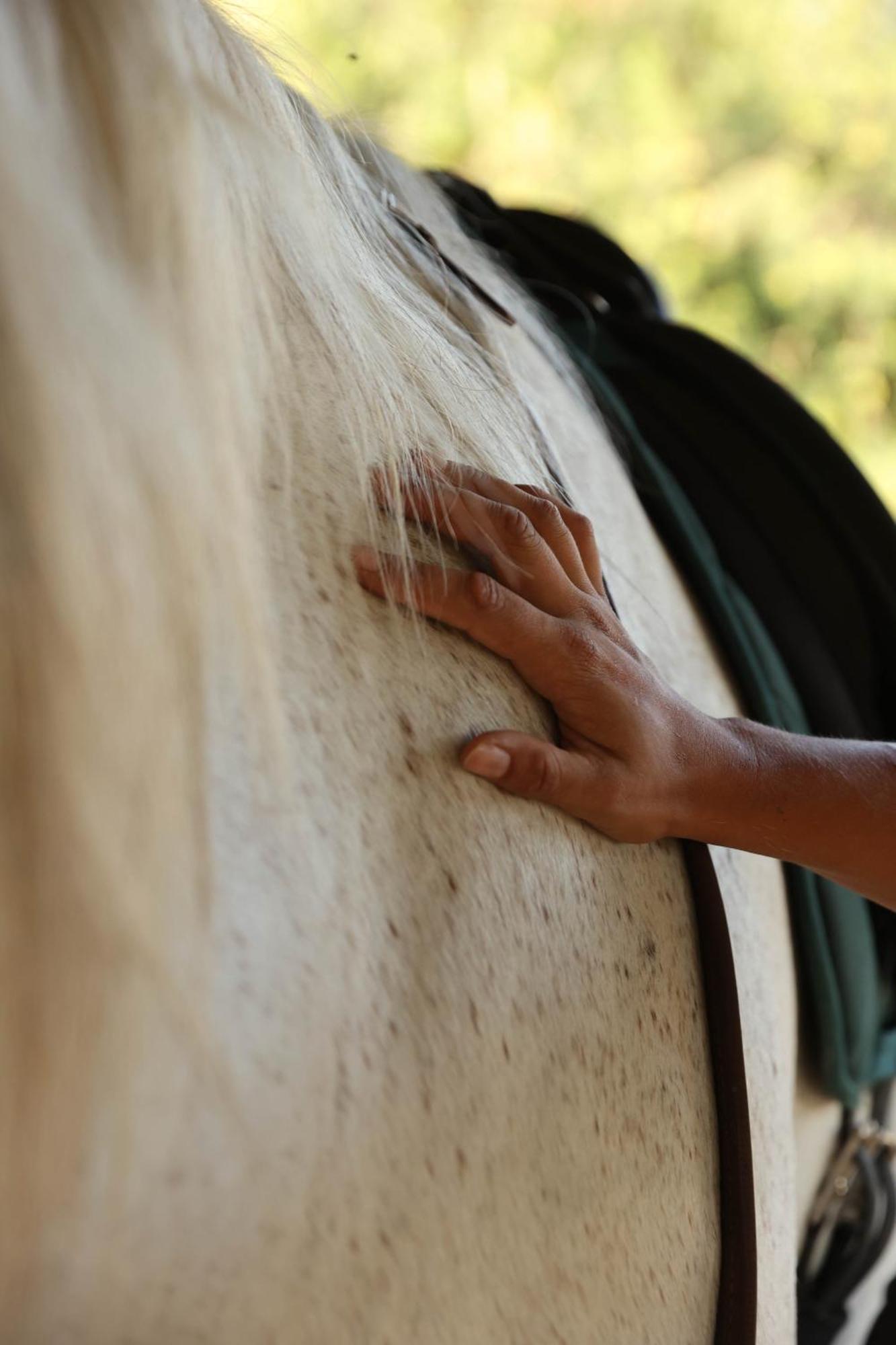 Cal Robusto, Apartament In Masia With Horses Siurana  Экстерьер фото