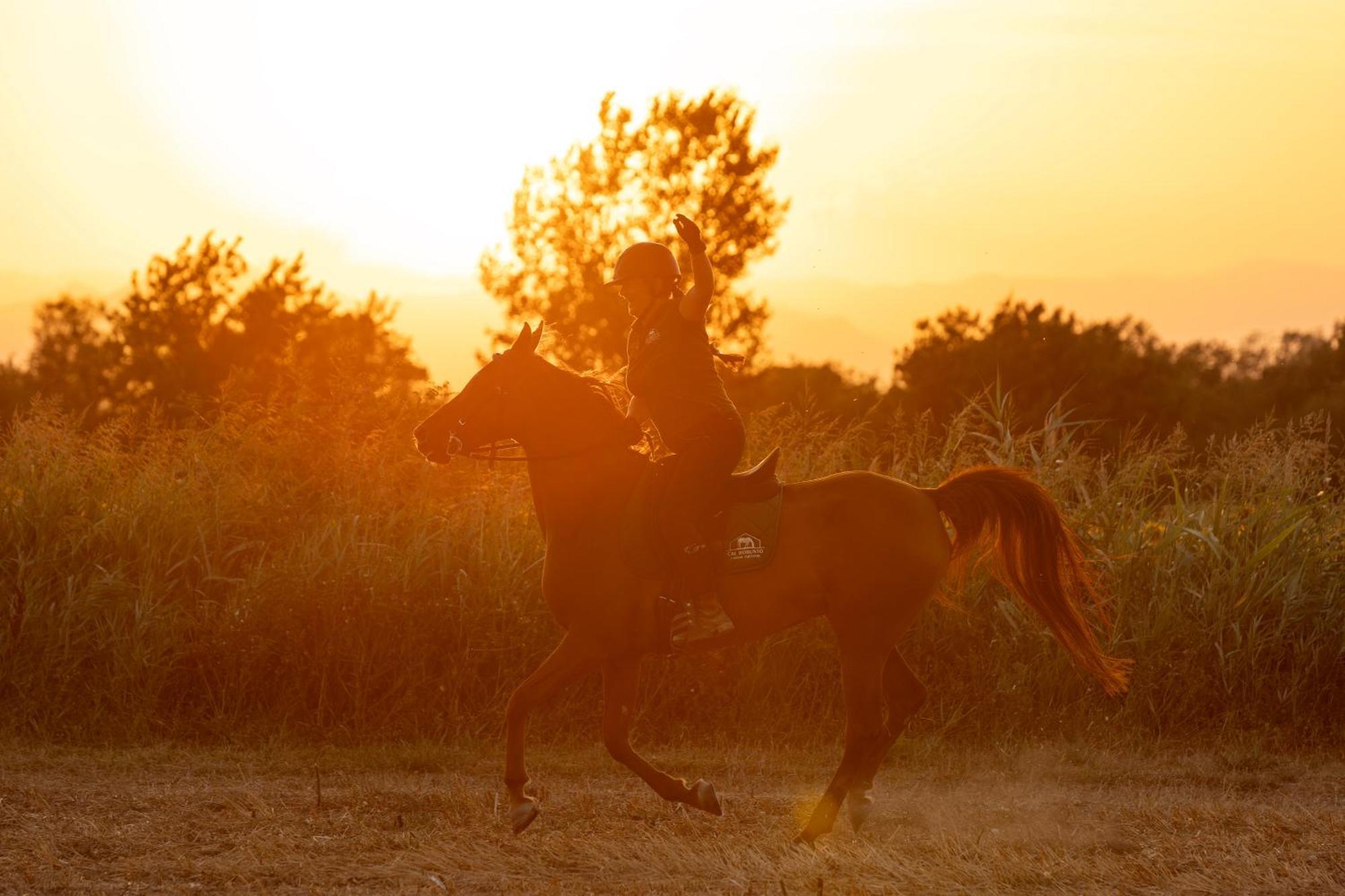 Cal Robusto, Apartament In Masia With Horses Siurana  Экстерьер фото