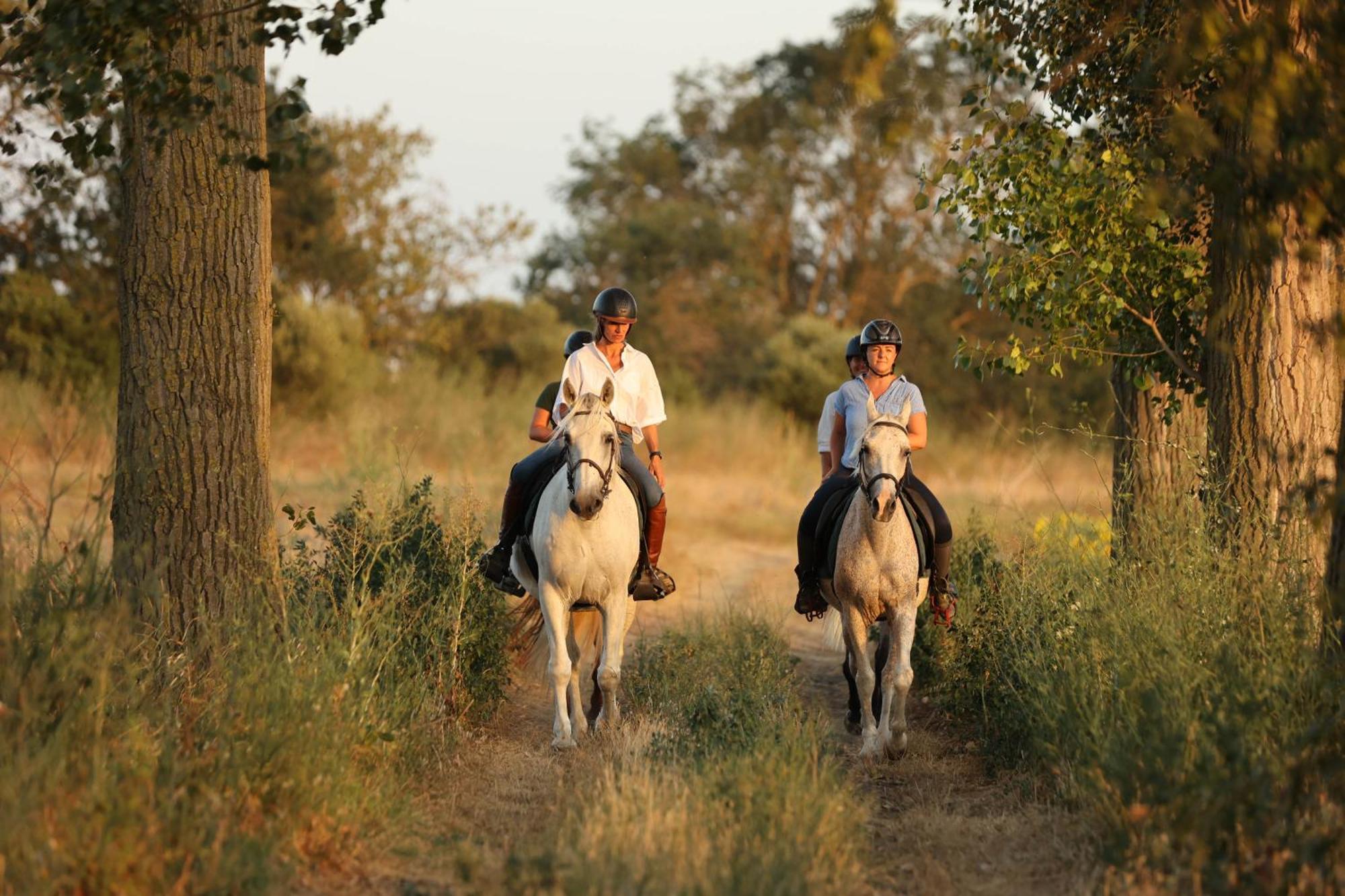 Cal Robusto, Apartament In Masia With Horses Siurana  Экстерьер фото